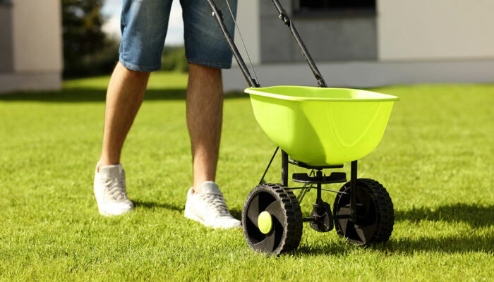 8 Best Lawn Fertilizers for Spring in 2024