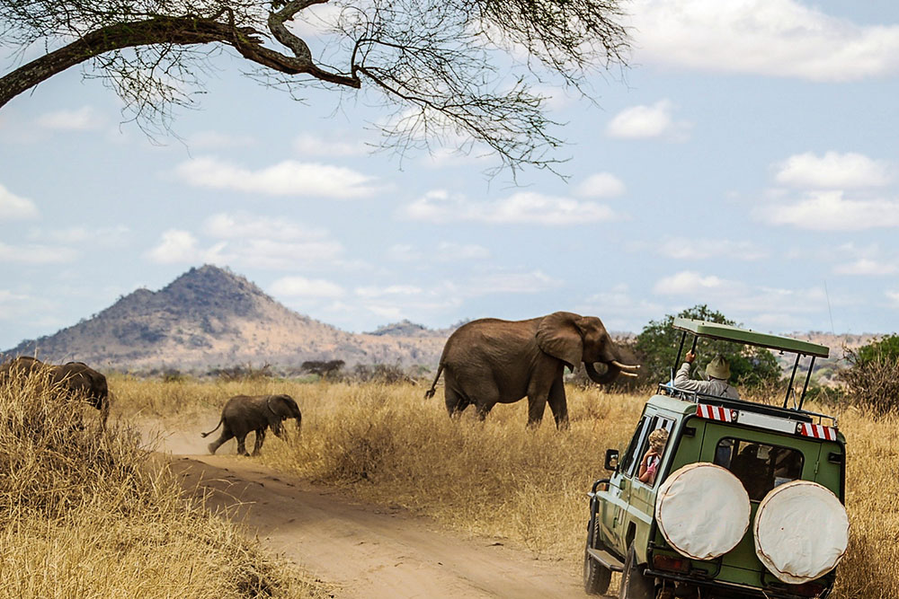 African Safari Packages for Seniors