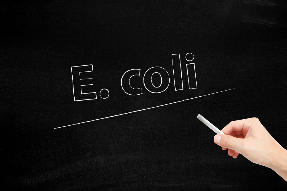 Things to Know About E. Coli Infections and UTI