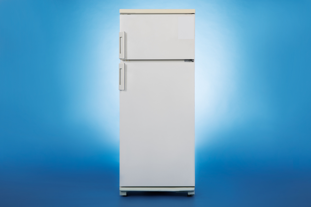 Everything You Need to Know about LG Refrigerators