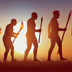 Evolution of society and its primary characteristics