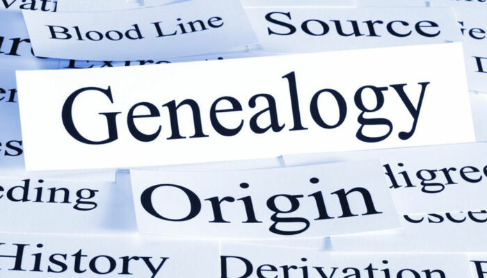 Explore your roots &#8211; Genealogy