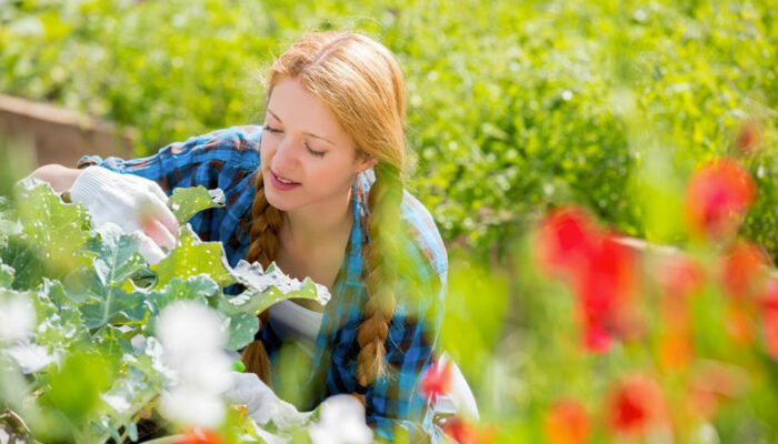 Horticulture: The therapeutic effects of plants