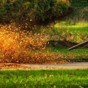 Popular affordable leaf blowers under $100