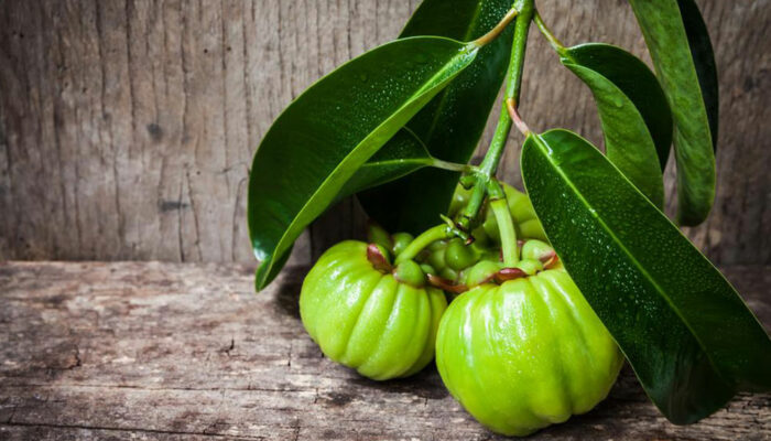 Things to know about Garcinia Cambogia