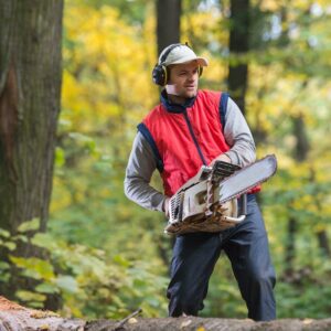 Tips to buy chainsaw and save money without quality compromise