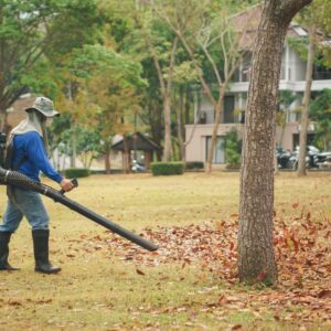 Tips for buying a gas leaf blower