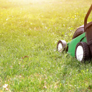 Your guide to choosing an ideal lawn mower