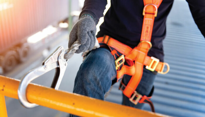 3 safety harness products to consider buying