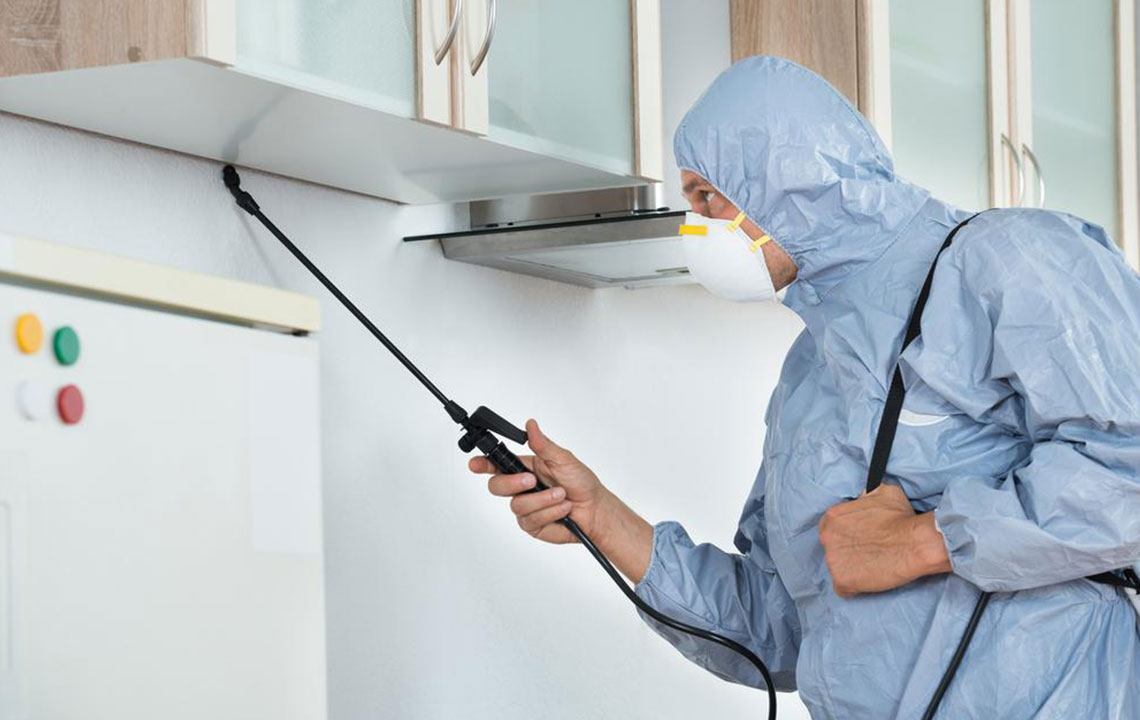 6 factors to consider before selecting a pest control company