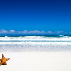 7 White Sand Beaches You Should Check Out