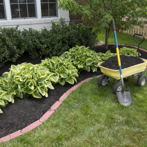 Advantages of rubber mulch