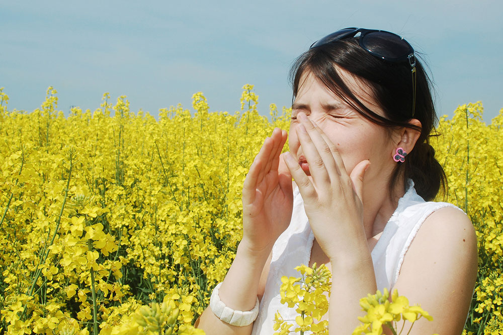 All You Need to Know about Pollen Allergies