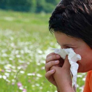 Everything You Need to Know about Pollen Count