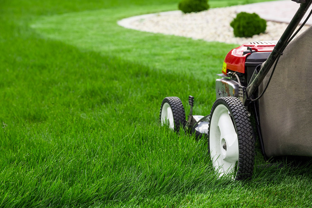 Get lawn mower parts with ease