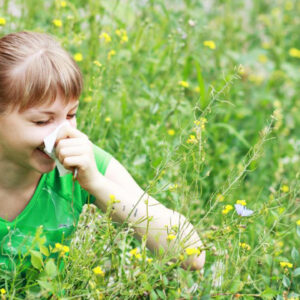 Simple and Easy Remedies for Seasonal Allergies