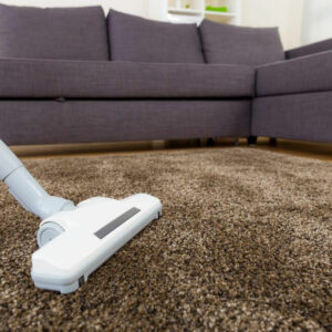 Types ways of cleaning dry carpets