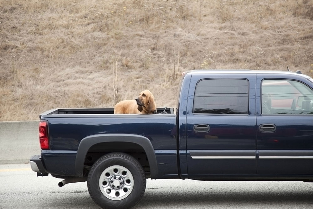 The hottest Chevy pickup trucks of the year