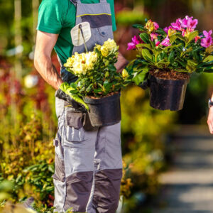 Tips on how to make the most of a garden sale