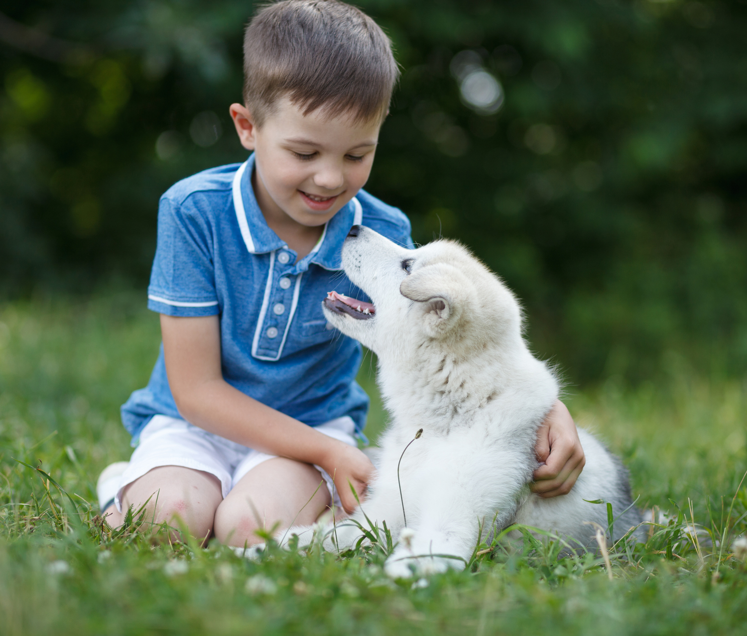 What Every Dog Owner Should Know About Dog Food Allergies