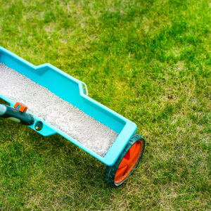 10 Best Materials for Top Dressing a Lawn