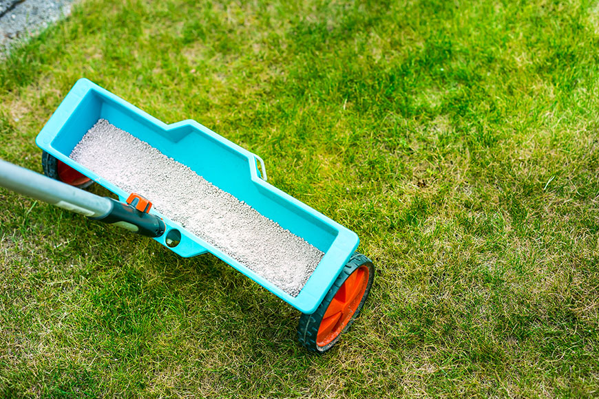 10 Best Materials for Top Dressing a Lawn